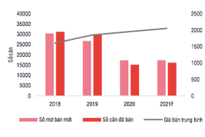 Giá nhà 2021 tăng do chủ đầu tư găm hàng kìm nguồn cung?