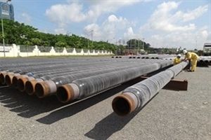 Kinh doanh dưới giá vốn, PVB thua lỗ 20 tỷ đồng trong quý 4