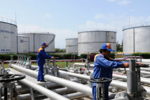 Giá xăng dầu hôm nay 16/9/2024: Giảm đỏ rực thị trường