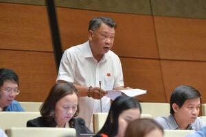 Đại biểu Quốc hội đề xuất tạm dừng thanh tra nếu phát hiện chồng chéo