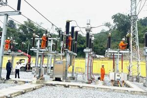 Điện lực Tuyên Quang tăng tốc chuyển đổi số, nâng cao hiệu quả sử dụng năng lượng