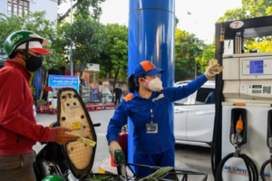 Giá xăng dầu hôm nay 23/06/2025: Giá dầu thế giới giảm nhẹ