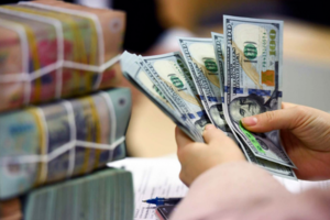 Tỷ giá USD hôm nay 22/06/2025: Đồng USD cao nhất 3 tuần qua