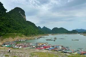 Phú Thọ: Kiểm tra các bến neo tàu và điểm có nguy cơ sạt lở do bão số 3