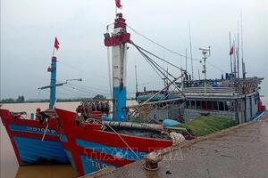 Ứng phó bão số 3: Gần 6.600 tàu, thuyền ở Thanh Hóa đã neo đậu, tránh trú an toàn