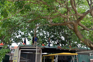 Ninh Bình dừng đón khách du lịch bằng phương tiện đường thủy nội địa