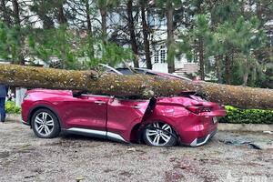 Nhà tốc mái, cây xanh gãy đổ tại Đà Lạt do ảnh hưởng của bão số 3