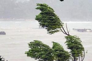 Vùng biển Thanh Hóa mưa to, gió mạnh trước khi bão số 5 đổ bộ