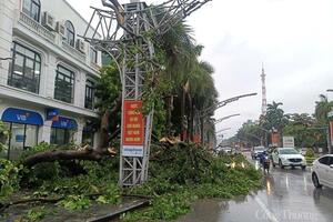 Thanh Hóa khẩn trương khắc phục thiệt hại sau khi bão số 5 càn quét