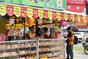 TP. Hồ Chí Minh: Thị trường bánh trung thu dần sôi động