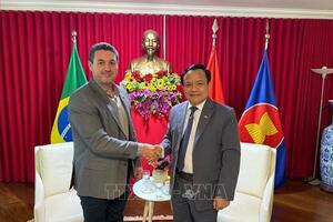Việt Nam và Brazil thúc đẩy hợp tác đa lĩnh vực    ​