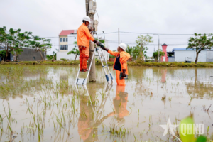 Điện lực tỉnh Đắk Lắk phấn đấu cấp điện 100% cuối ngày 26-11