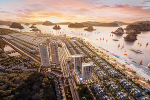 Đất nền trở lại đường đua, cơ hội từ vùng giá hợp lý