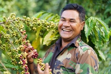 Nestlé và hành trình 3 thập kỷ đồng hành cùng Việt Nam phát triển nông nghiệp bền vững