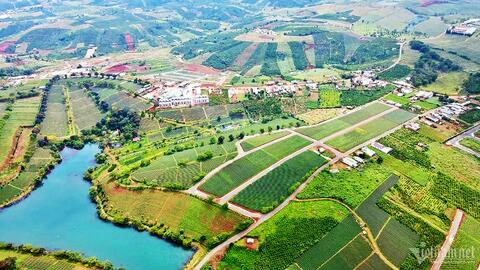 Lâm Đồng giao dịch hơn 1.400 đất nền, 3 căn chung cư