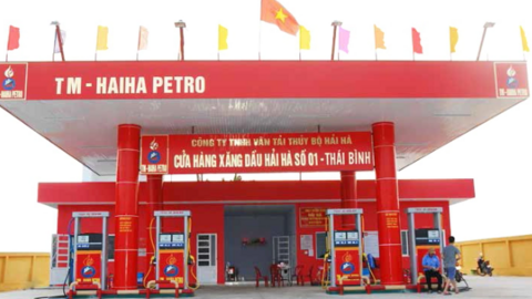 Hải Hà petro doanh thu “tỷ đô” nguồn tiền thu lớn vẫn chây ỳ nợ thuế