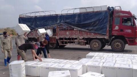 Hàng nông thủy sản xuất khẩu qua cửa khẩu Móng Cái tăng mạnh