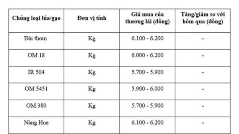 Giá lúa gạo hôm nay ngày 3/8 và tuần qua gạo xuất khẩu tăng mạnh
