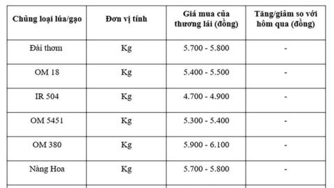 Giá lúa gạo hôm nay ngày 28/9 và tuần qua: Thị trường trầm lắng