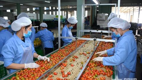 Lâm Đồng đột phá thực hiện tăng trưởng hai con số