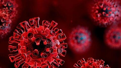 Người dân không hoang mang, nhưng tuyệt đối không chủ quan trước biến thể “Ve sầu” của Covid-19