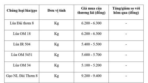 Giá lúa gạo hôm nay ngày 10/5, tuần qua: Gạo xuất khẩu, lúa tươi tăng
