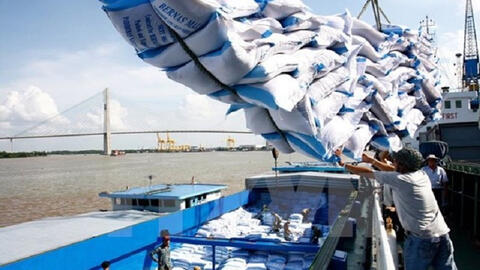 Gỡ nút thắt xuất khẩu gạo: Thoát vòng luẩn quẩn “tranh bán - tranh mua”