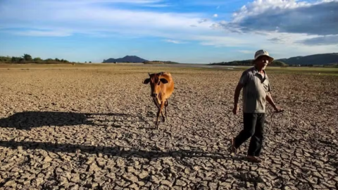 Ứng phó tác động của El Nino