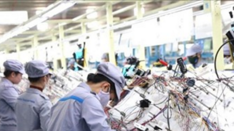 Sản xuất công nghiệp tăng 12,3%, đạt mức tăng cao nhất kể từ năm 2019