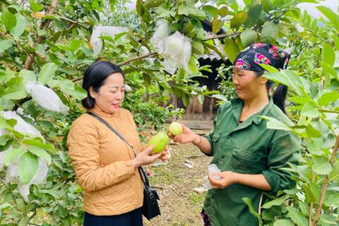 Đẩy mạnh phát triển kinh tế, nâng cao đời sống nhân dân