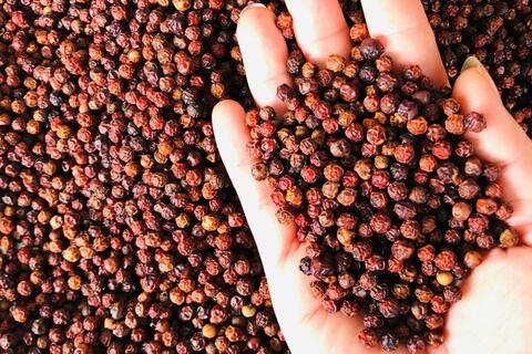 Bản tin nông sản hôm nay (10-5): Giá hồ tiêu ổn định