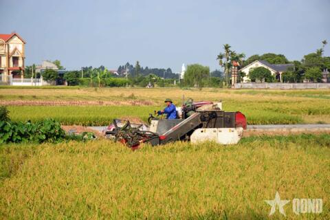 Giảm phát thải trồng trọt để tăng tính cạnh tranh nông sản Việt trên thị trường
