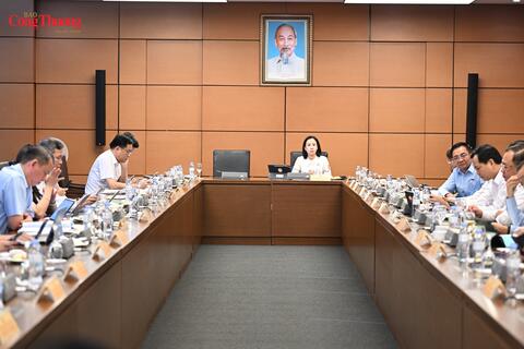 Đại biểu Quốc hội: Trao quyền ký thỏa thuận quốc tế cho cấp xã phải đi kèm trách nhiệm