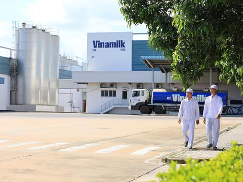 Vinamilk: 3 năm liên tiếp là doanh nghiệp sữa duy nhất của Việt Nam trong Fortune 500 Đông Nam Á