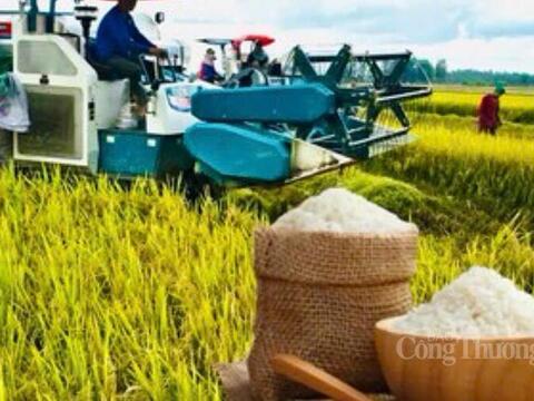 Đồng Tháp tăng tốc xuất khẩu nông, lâm, thủy sản đạt trên 3 tỷ USD