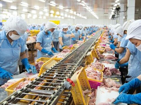UKVFTA mở rộng cánh cửa cho thủy sản Việt Nam tại thị trường Anh