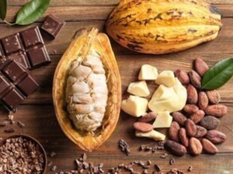 Giá ca cao thế giới tăng hơn 6%