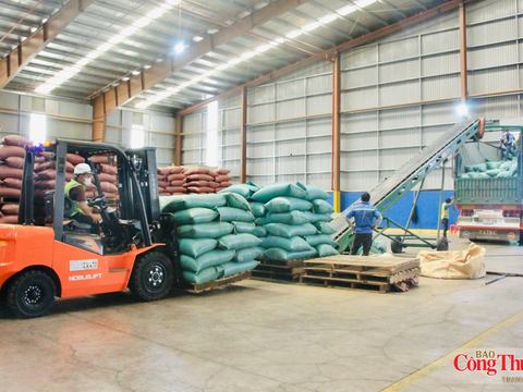 Cà phê tiếp tục giữ 'ngôi vương' xuất khẩu của Gia Lai