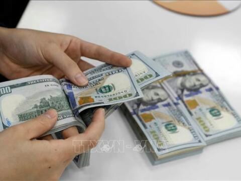 Tỷ giá USD hôm nay (7-8): Đồng USD tăng giá trước báo cáo việc làm của Mỹ