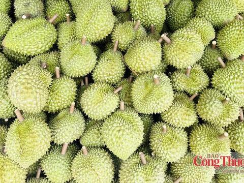 Sầu riêng: Không chỉ gỡ điểm nghẽn xuất khẩu