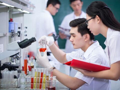 Tạo dựng môi trường và cơ chế để thu hút nhân tài