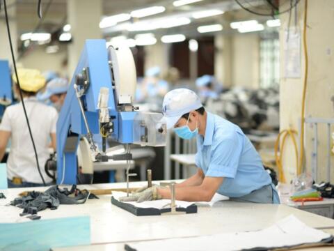 Tạo thuận lợi hơn cho doanh nghiệp xuất nhập khẩu