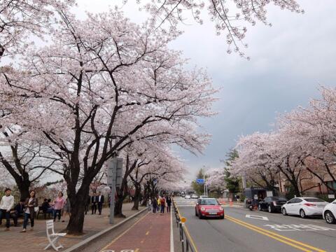 Seoul nhắm mục tiêu tốp 3 thành phố hàng đầu thế giới