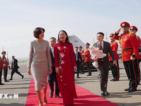 Phó Chủ tịch nước Võ Thị Ánh Xuân hội đàm với Thủ tướng Gruzia