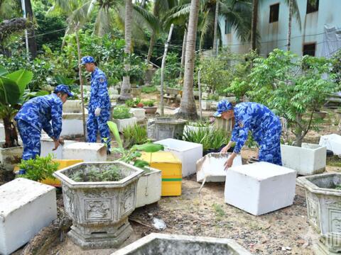 Vùng Cảnh sát biển 4 tích cực phòng, chống sốt xuất huyết trên địa bàn đặc khu Phú Quốc