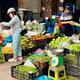 Cần Thơ: Sau Tết, giá thực phẩm dần hạ nhiệt