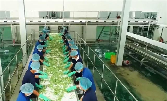 Doanh nghiệp lúng túng khi đưa hàng vào thị trường EU - Ảnh 1. Doanh nghiệp lúng túng khi đưa hàng vào thị trường EU - Ảnh 1.