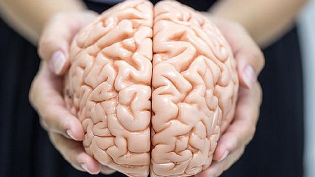 Bộ não của bạn luôn cần được tẩm bổ bằng 1 trong 6 món này mỗi ngày, ăn nhiều sẽ giúp tránh bệnh về thần kinh và trí nhớ - Ảnh 1. Bộ não của bạn luôn cần được tẩm bổ bằng 1 trong 6 món này mỗi ngày, ăn nhiều sẽ giúp tránh bệnh về thần kinh và trí nhớ - Ảnh 1.