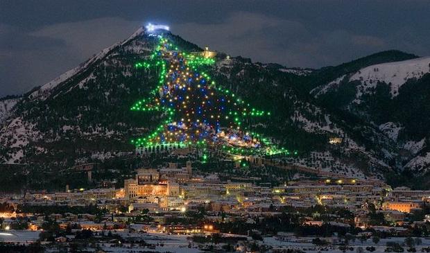 Những cây thông Noel đặc biệt được ghi nhớ nhất trong lịch sử các mùa Giáng sinh khắp thế giới, kỳ công đến mức khiến ai cũng phải trầm trồ - Ảnh 6. Những cây thông Noel đặc biệt được ghi nhớ nhất trong lịch sử các mùa Giáng sinh khắp thế giới, kỳ công đến mức khiến ai cũng phải trầm trồ - Ảnh 6.