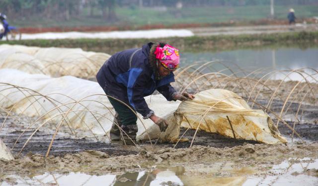 Rét cắt da cắt thịt, người dân vơ củi nhóm lửa sưởi ấm mưu sinh ở TP Vinh - Ảnh 13. Rét cắt da cắt thịt, người dân vơ củi nhóm lửa sưởi ấm mưu sinh ở TP Vinh - Ảnh 13.